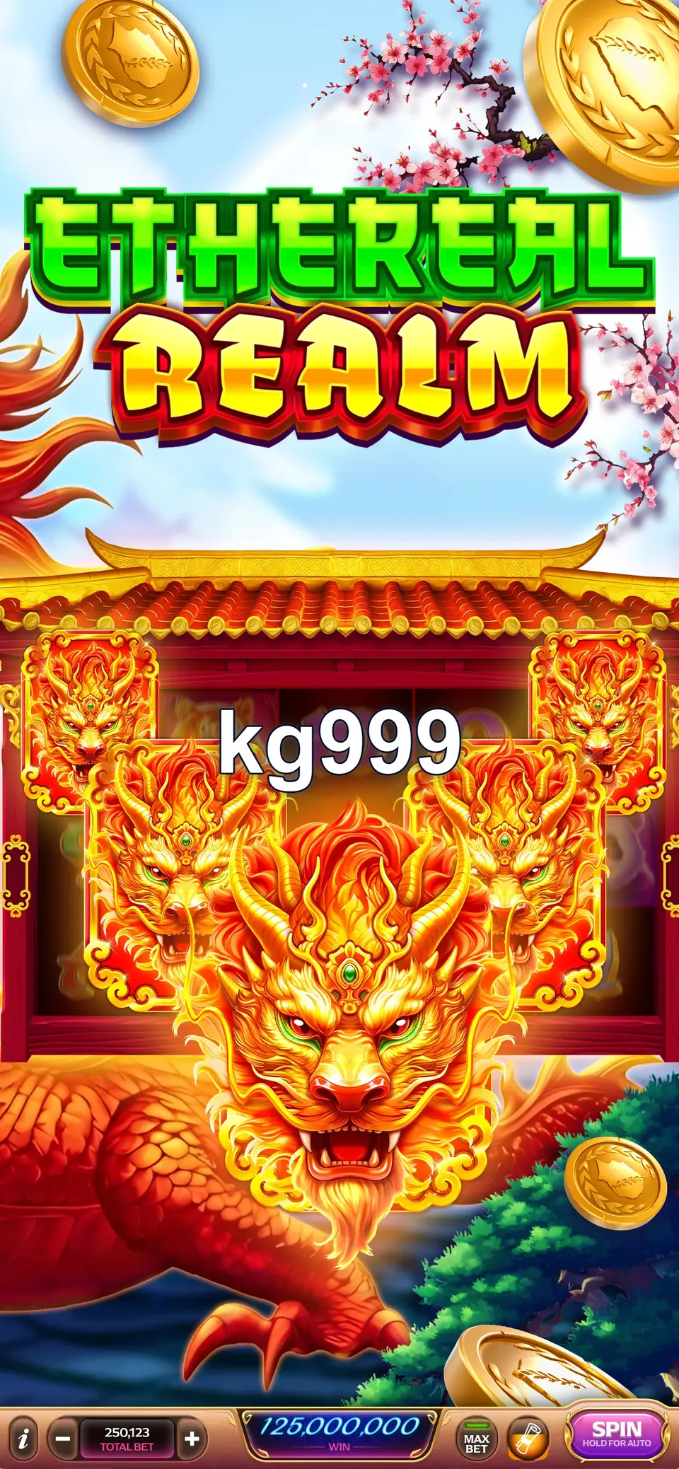 kg999 লগইন